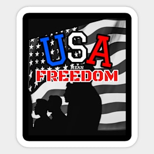 USA mean Freedom Sticker